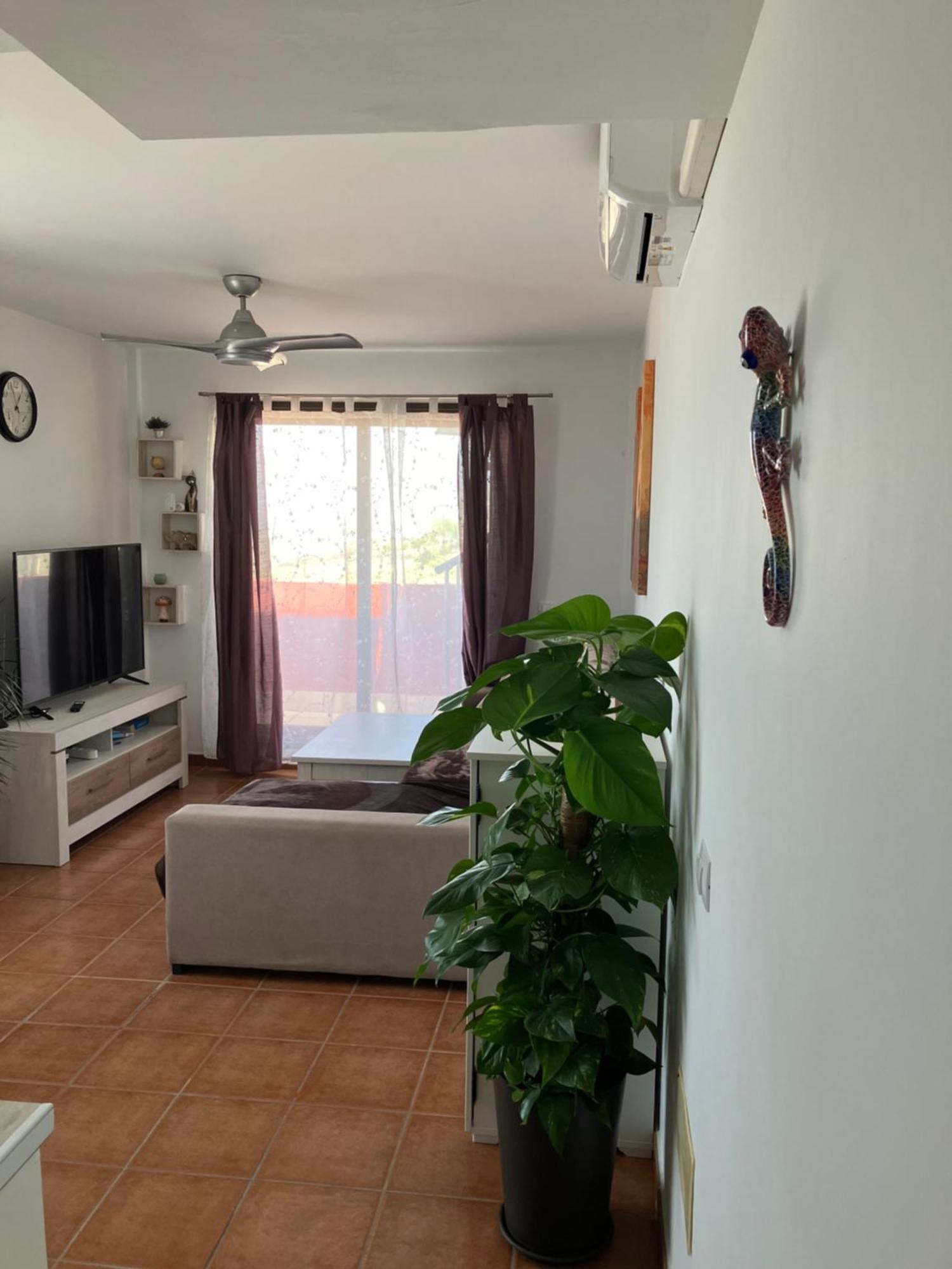 Narancsvirag Apartman Tejina de Isora Kültér fotó